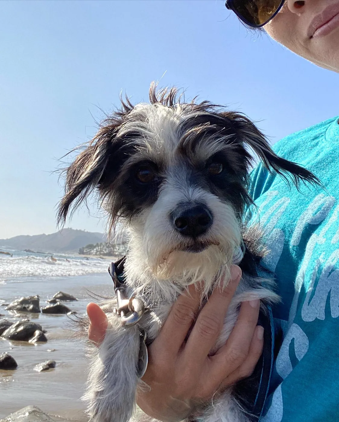 Spencer held at the beach