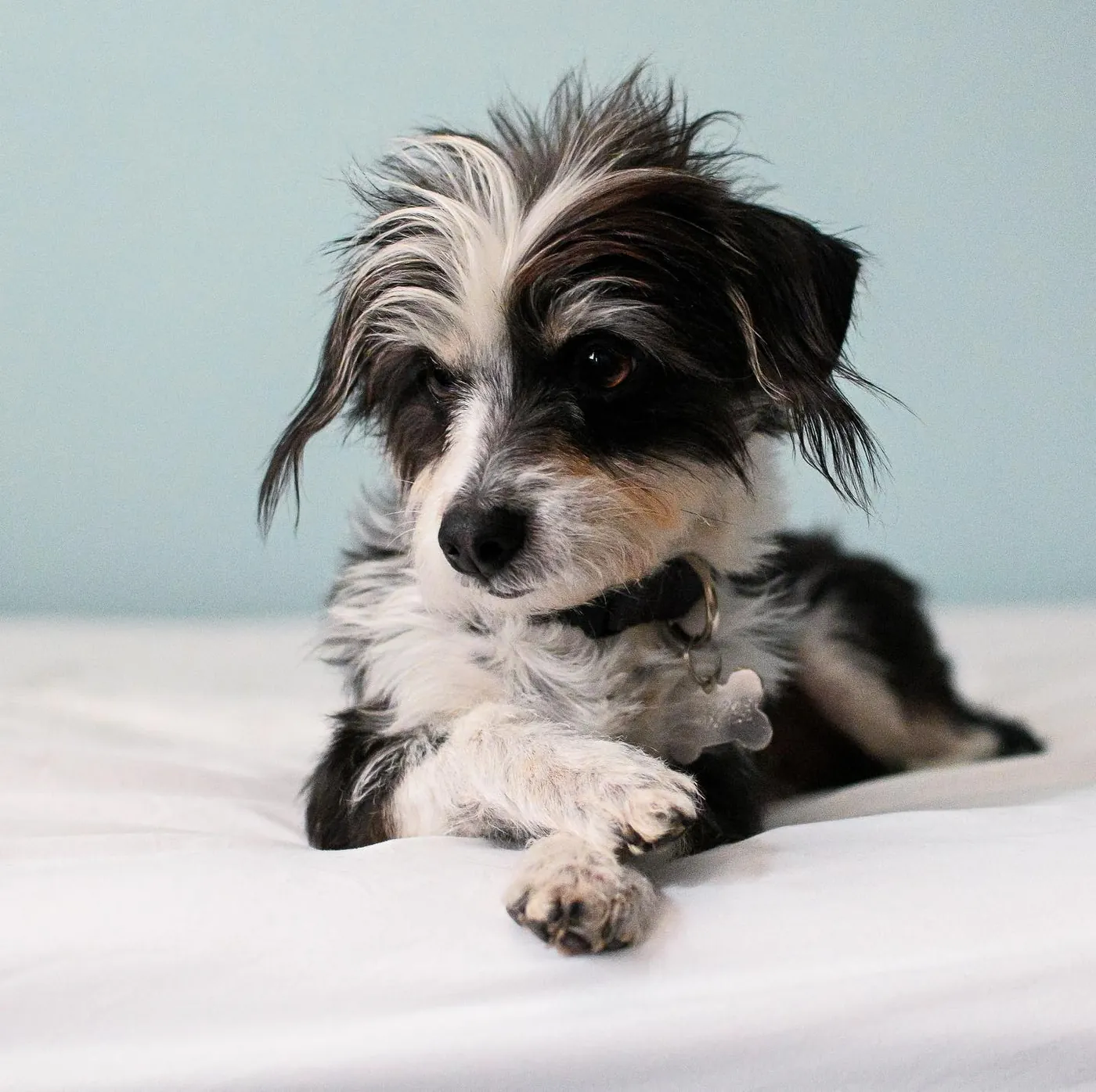 Studio portrait of Spencer on a bed